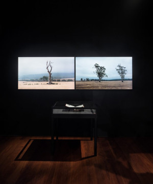  A dimly lit art exhibition space featuring two landscape photographs hung side by side on a dark wall. Each photo depicts a solitary tree in a sparse field under a hazy sky. Below the photographs, a black display table with a glass top holds an open book.