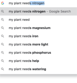 Search engine autocomplete suggestions showing 'my plant needs' followed by various nutrients and care instructions like nitrogen, magnesium, and more light.