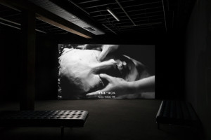 A dark room with a large black-and-white video projection showing a close-up of hands working with clay. The subtitles on the screen read “Poetry Volume 109.” There are black cushioned benches in the foreground.