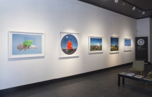 A bright gallery wall featuring a collection of fantastical and vibrant artworks. The first image shows a surreal depiction of a flying shark with a person covered in greenery riding on its back. The adjacent artworks maintain the surreal compositions of people in pastoral landscapes.