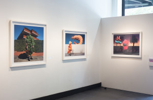 An art gallery wall showcasing three framed photographs with surreal elements. The first depicts a person dressed in a bush-like costume standing on a sidewalk with a house in the background. The second image features an oversized shrimp over a fence, with a person dressed as a shrimp on the other side.  The third is a night scene with a neon motel sign.