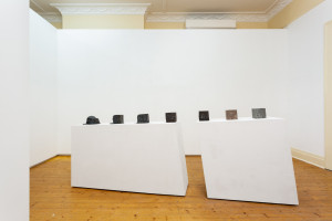 Two white pedestals in a gallery room display eight assorted blocks, on a wooden floor, with a detailed ceiling cornice