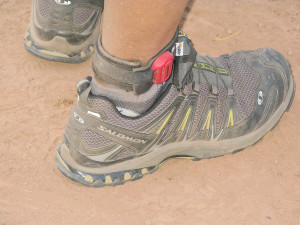 A close-up of a dusty hiking shoe on a person's foot with visible brand name Salomon.